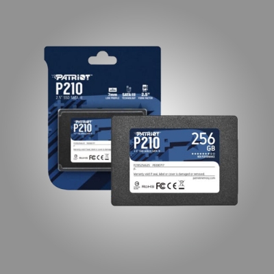 DISCO SOLIDO (SSD) 256GB PATRIOT